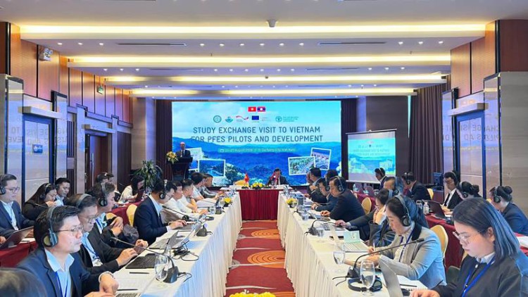 Đà Nẵng chia sẻ kinh nghiệm thực hiện chính sách chi trả dịch vụ môi trường rừng với nước bạn Lào